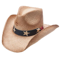 C1H CHARLIE ONE HORSE STARS AND STRIPES - CSSTRS-4036